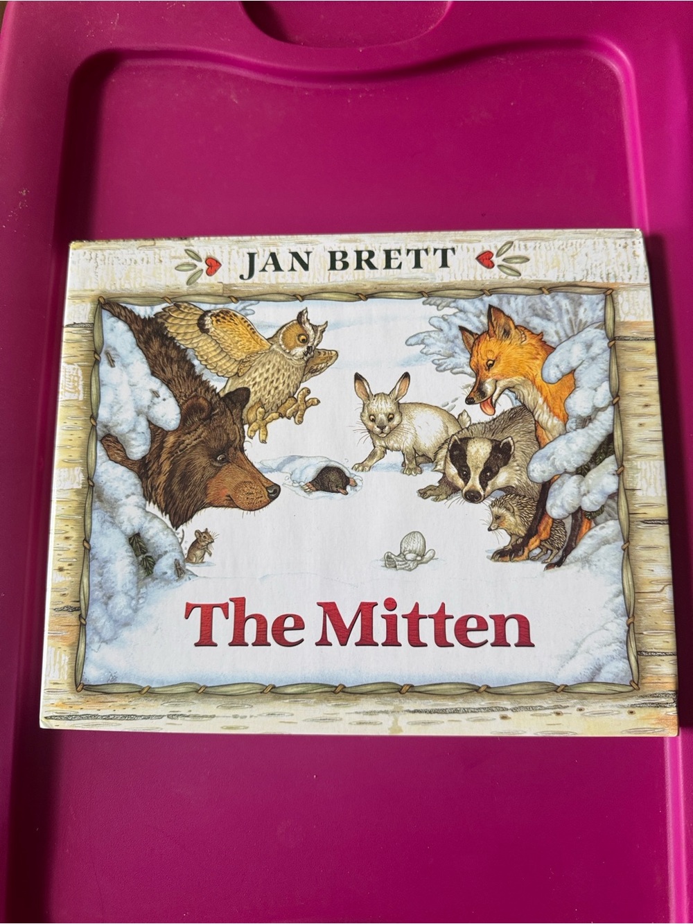 Jan Brett’s The Mitten